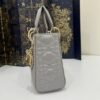 Replica Lady Dior Mini Grey Sillver
